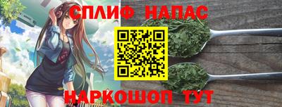 мдпв Камышлов