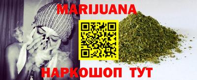 мдпв Камышлов