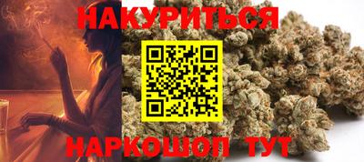 мдпв Камышлов