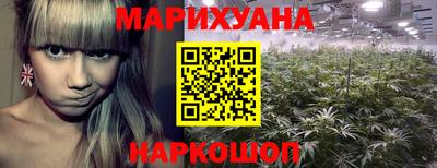 мдпв Камышлов