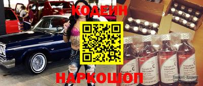 мдпв Камышлов