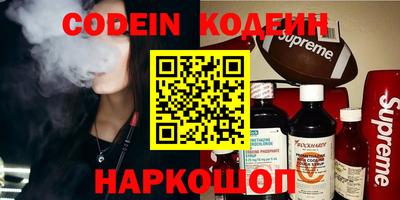 мдпв Камышлов