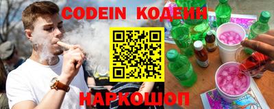 мдпв Камышлов